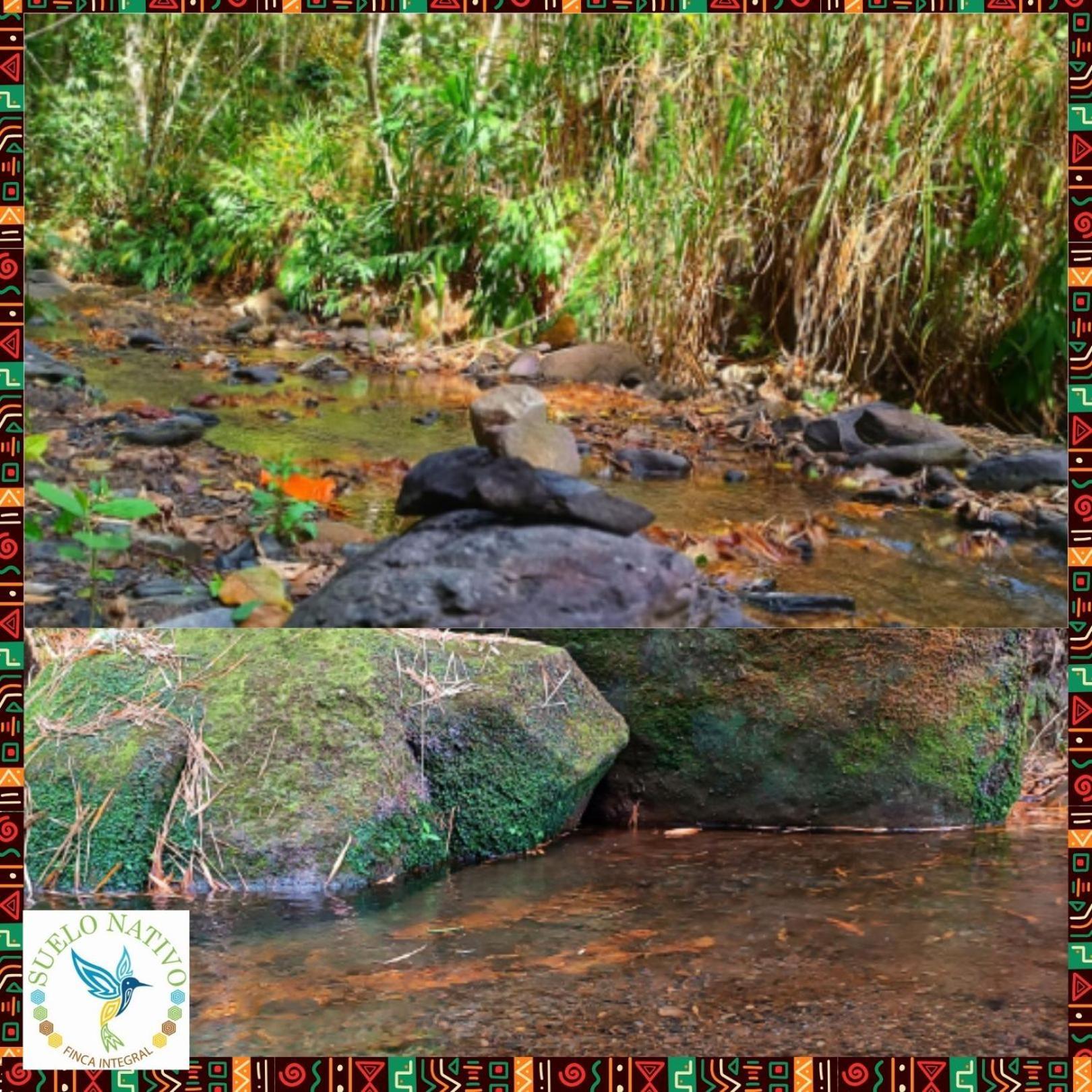 Hotel Finca Integral Suelo Natiivo "Integramos El Campo Con Tu Bienestar" Ґуадуас Екстер'єр фото