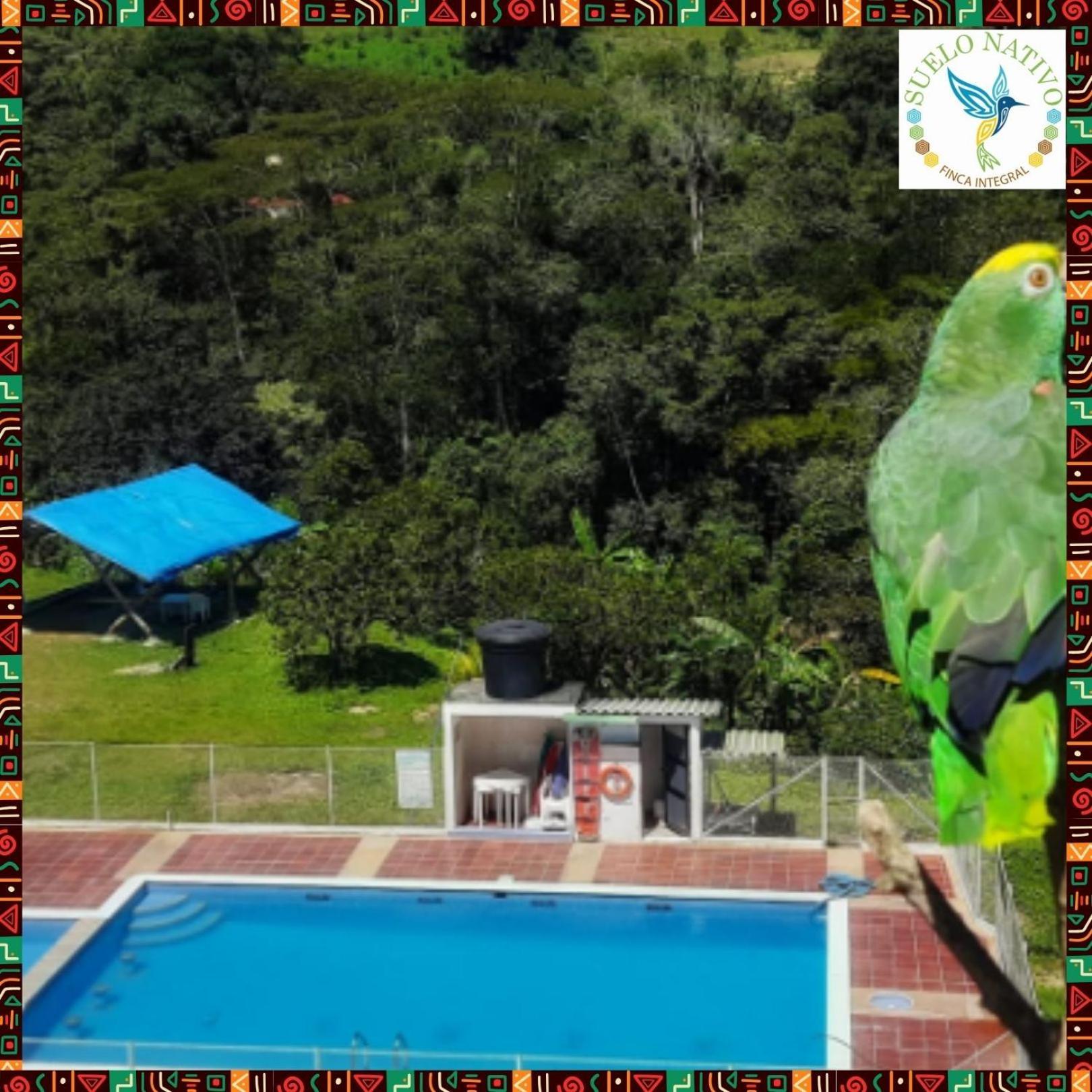 Hotel Finca Integral Suelo Natiivo "Integramos El Campo Con Tu Bienestar" Ґуадуас Екстер'єр фото