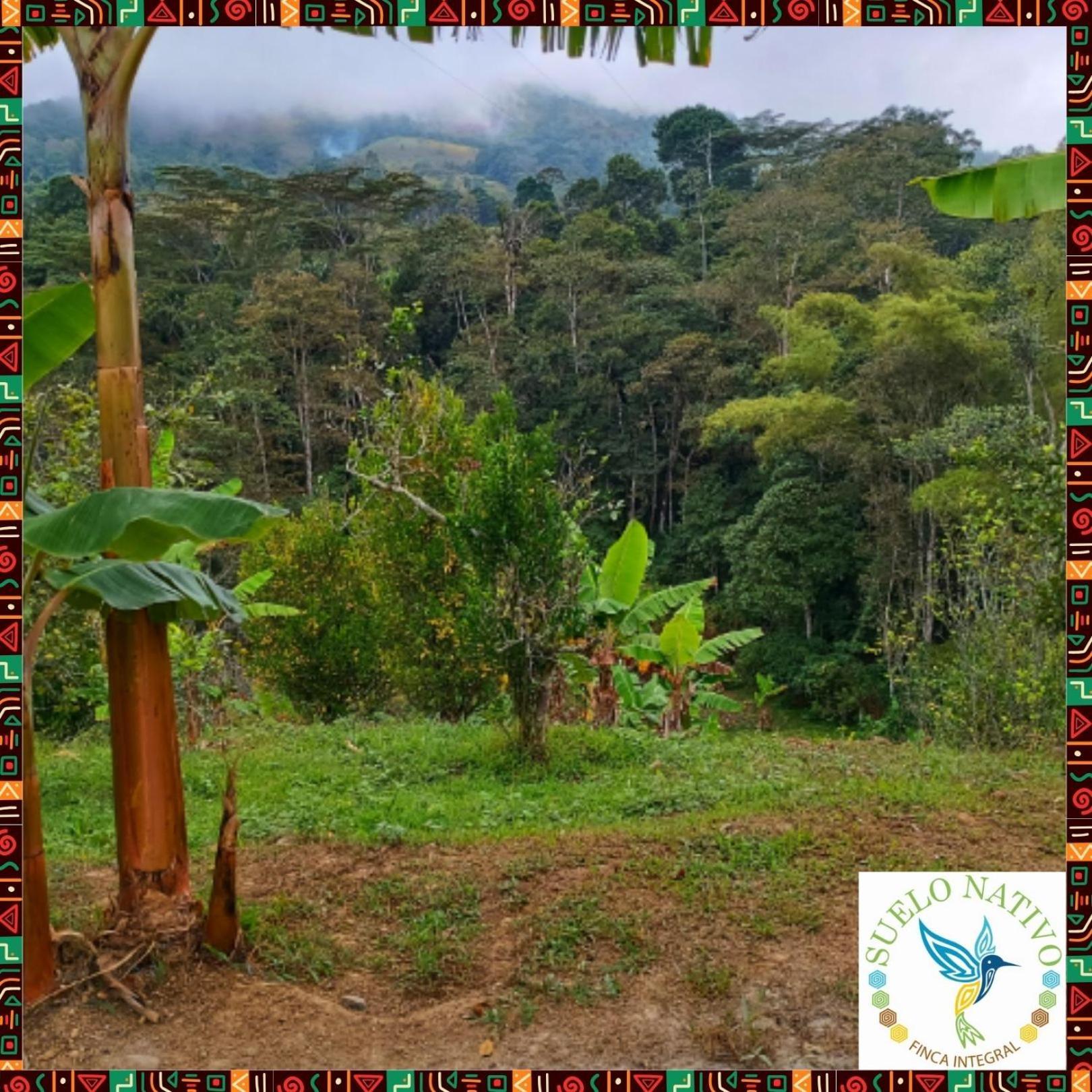Hotel Finca Integral Suelo Natiivo "Integramos El Campo Con Tu Bienestar" Ґуадуас Екстер'єр фото