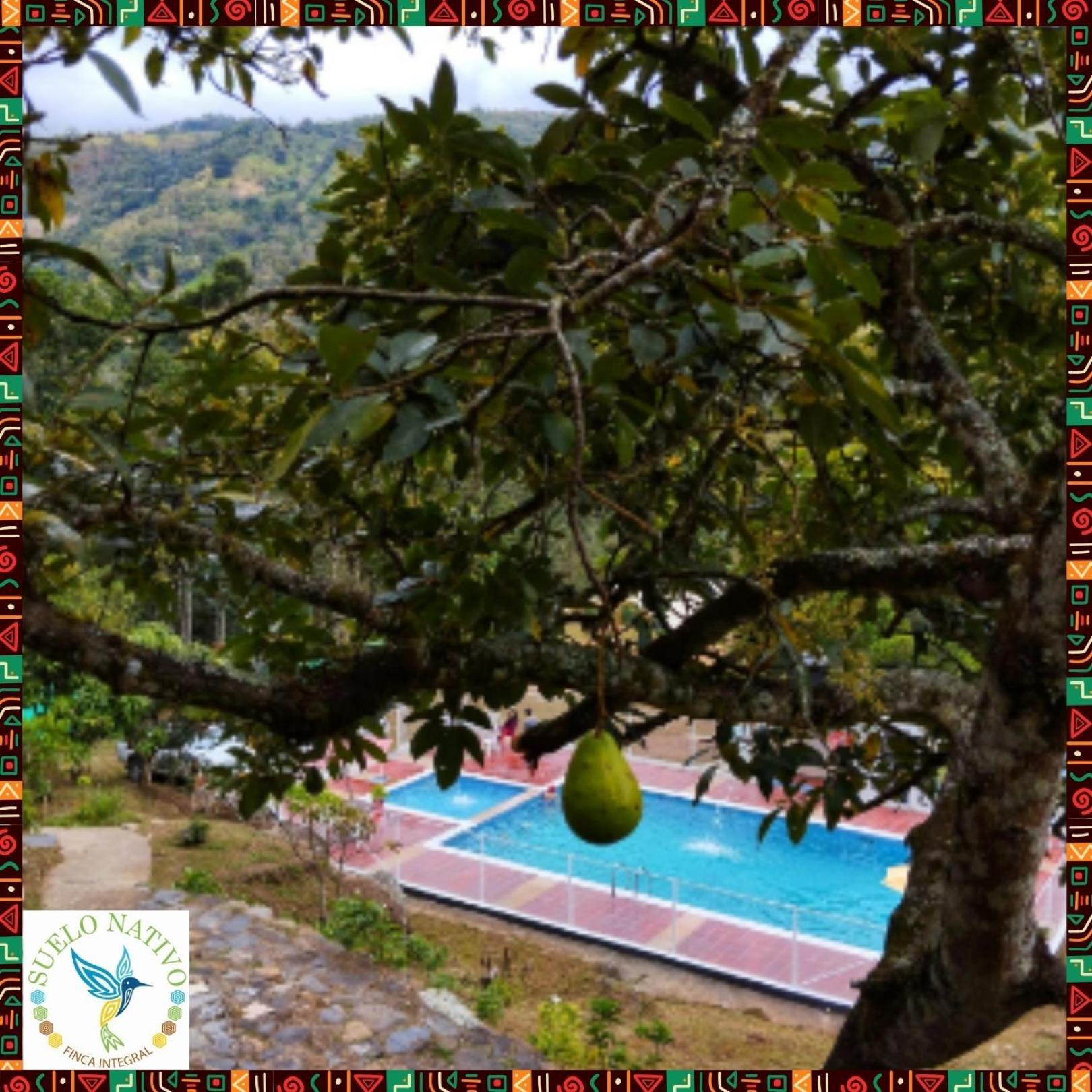 Hotel Finca Integral Suelo Natiivo "Integramos El Campo Con Tu Bienestar" Ґуадуас Екстер'єр фото