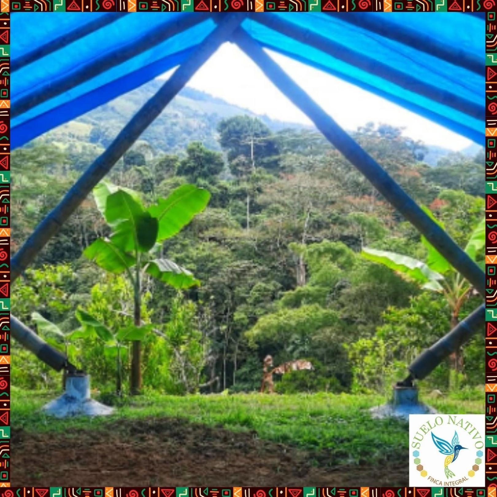 Hotel Finca Integral Suelo Natiivo "Integramos El Campo Con Tu Bienestar" Ґуадуас Екстер'єр фото