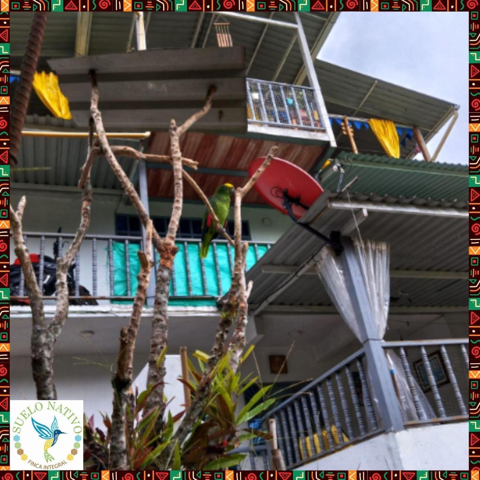 Hotel Finca Integral Suelo Natiivo "Integramos El Campo Con Tu Bienestar" Ґуадуас Екстер'єр фото