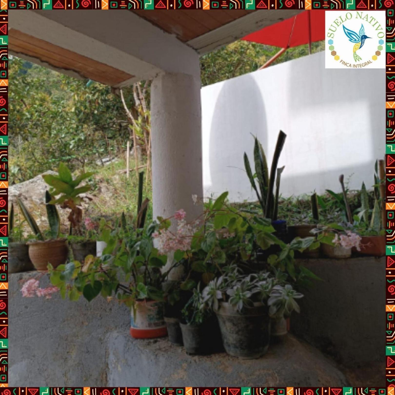 Hotel Finca Integral Suelo Natiivo "Integramos El Campo Con Tu Bienestar" Ґуадуас Екстер'єр фото